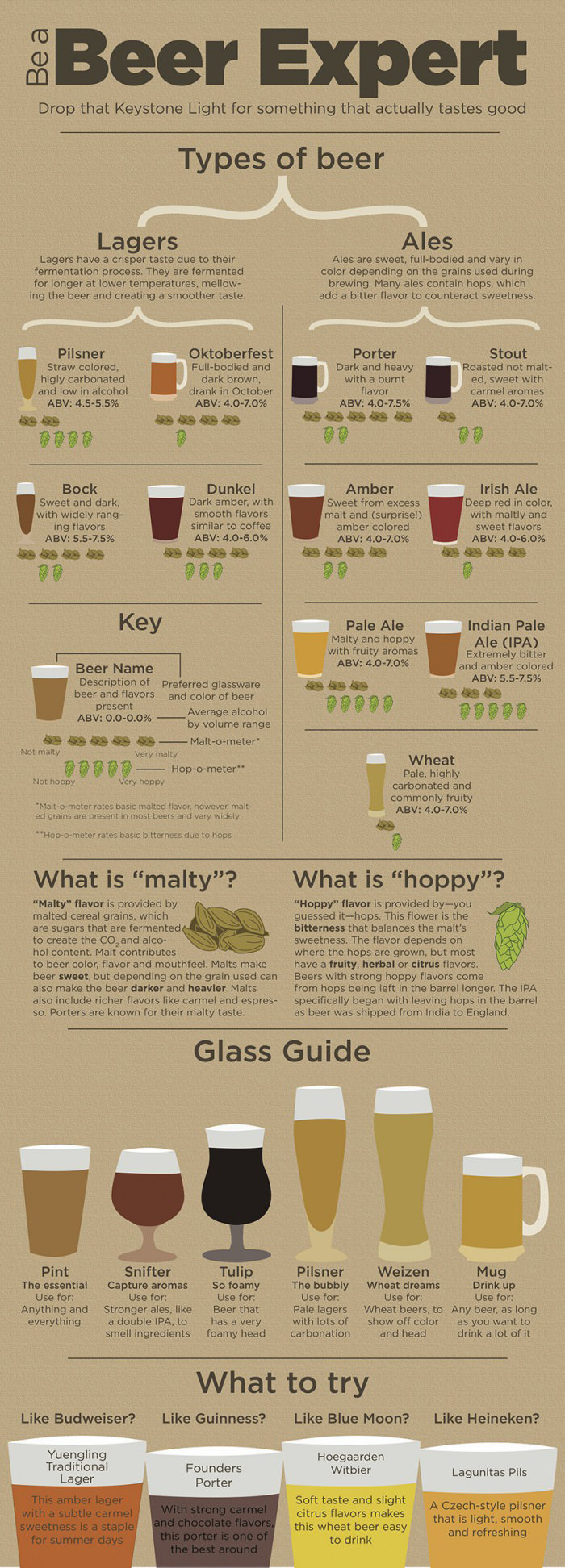 Everything You Need To Know About Becoming A Beer Expert