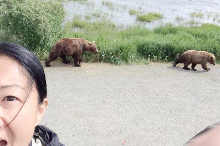 People Taking Selfies With Bears (9 pics)