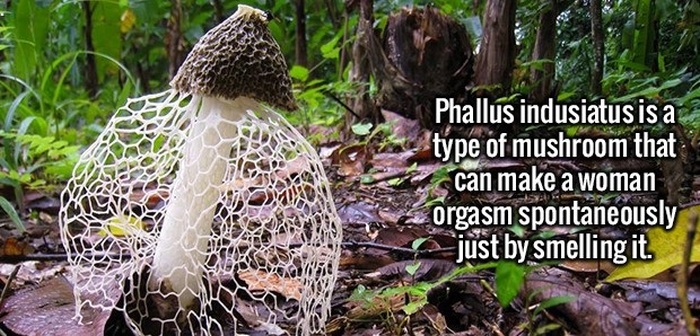 Take Your Knowledge Up A Notch With These Fun Facts (22 pics)
