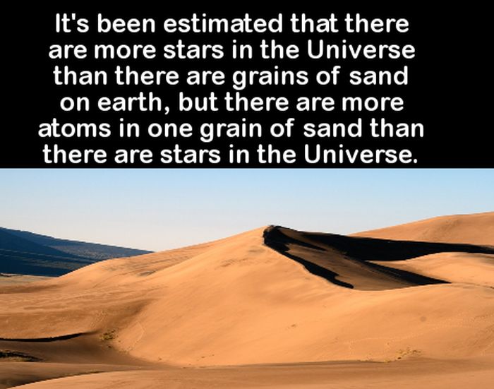 You'll Be The Smartest Person In The Room After Learning These Fun Facts (16 pics)