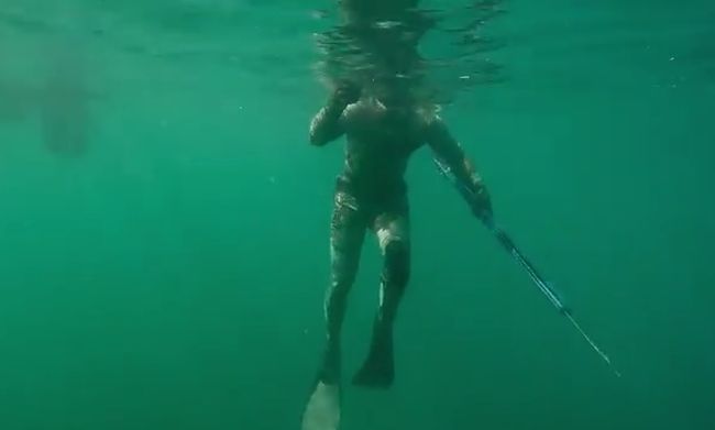 Diving in Murky Water Is Never a Very Good Idea