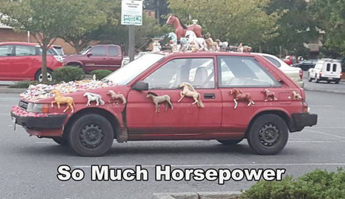 Sometimes You See The Strangest Things While Driving (44 pics)