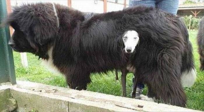 Acid Picdump (94 pics)