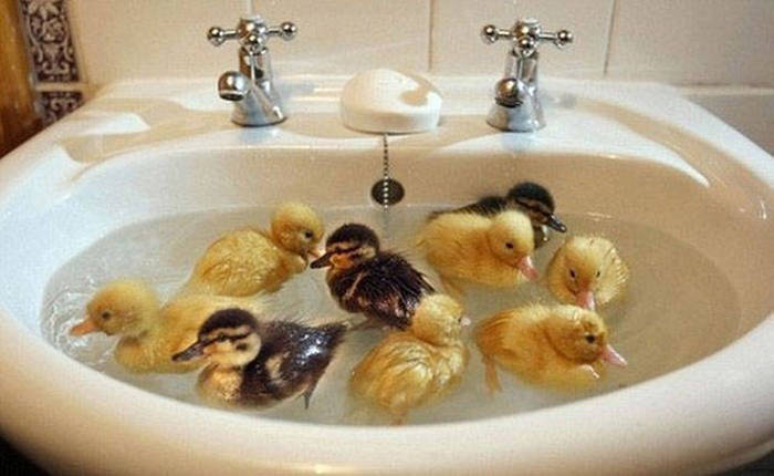 Acid Picdump (94 pics)