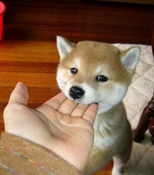 Acid Picdump (94 pics)
