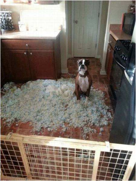 Acid Picdump (94 pics)