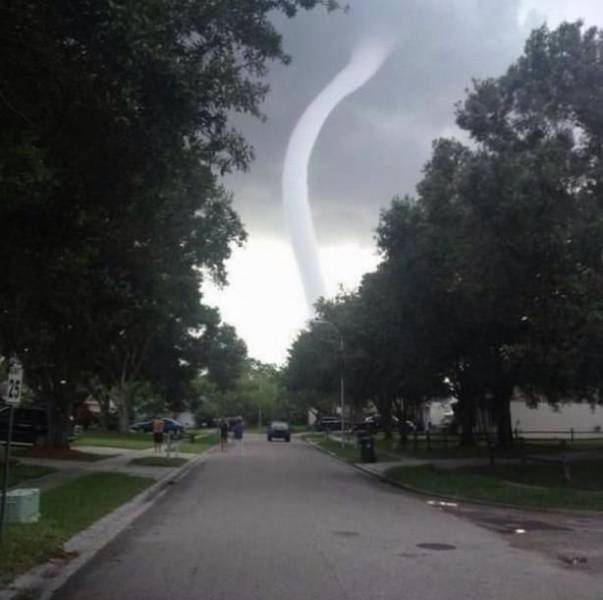 Acid Picdump (94 pics)