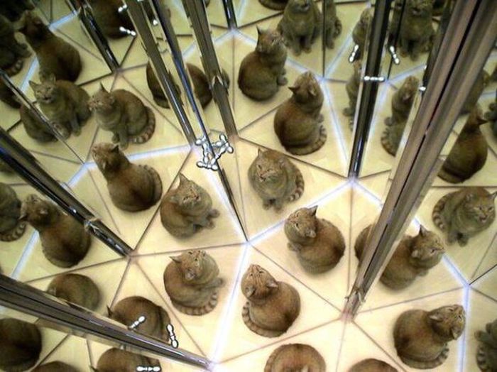 Acid Picdump (94 pics)