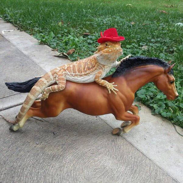 Acid Picdump (94 pics)