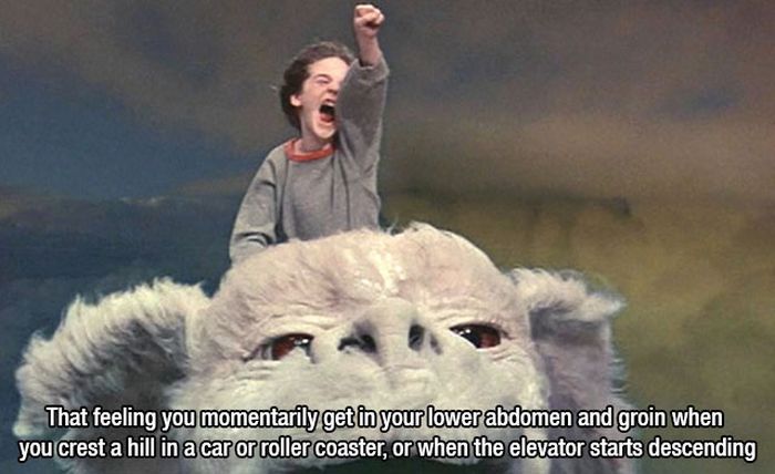 These Are Without A Doubt The Best Feelings In The World (22 pics)