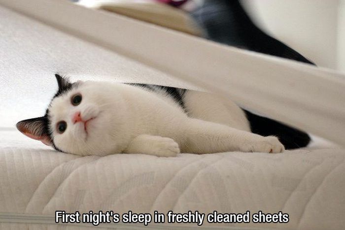 These Are Without A Doubt The Best Feelings In The World (22 pics)