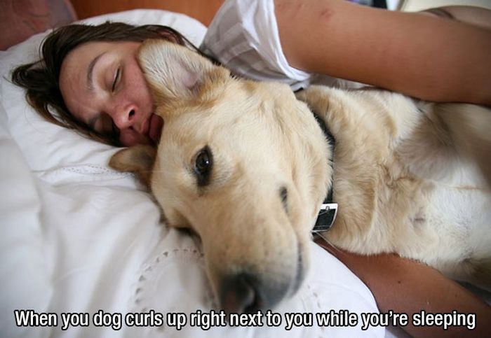 These Are Without A Doubt The Best Feelings In The World (22 pics)