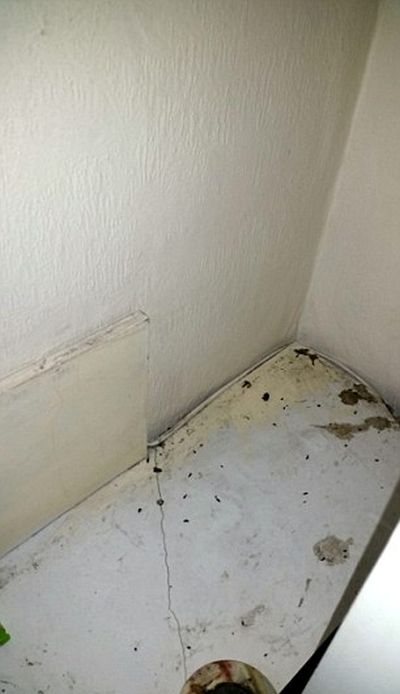 Rogue Landlords Busted During London Housing Crackdown (10 pics)