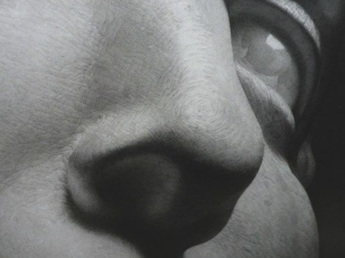 Incredible Drawing Created Using A Pencil Has Insane Amount Of Detail (4 pics)