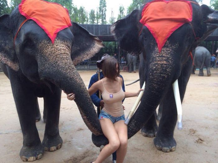 This Busty Babe Is Boycotting Bras For Good (8 pics)
