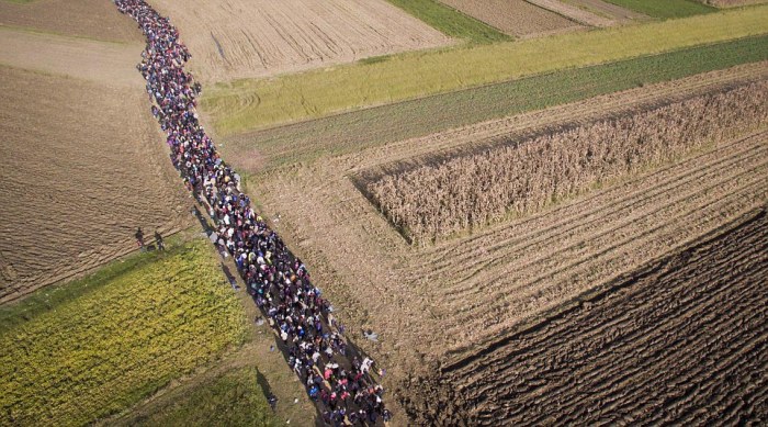 Thousands March Across The Balkans In An Attempt To Reach Western Europe (6 pics)