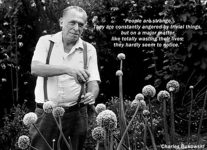 A Tribute To Charles Bukowski And His Way With Words (17 pics)