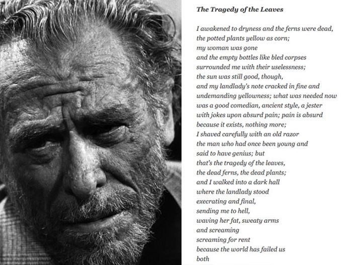 A Tribute To Charles Bukowski And His Way With Words (17 pics)