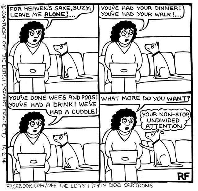 15 Comics That Describe What Life Is Like When You Own A Dog (15 pics)