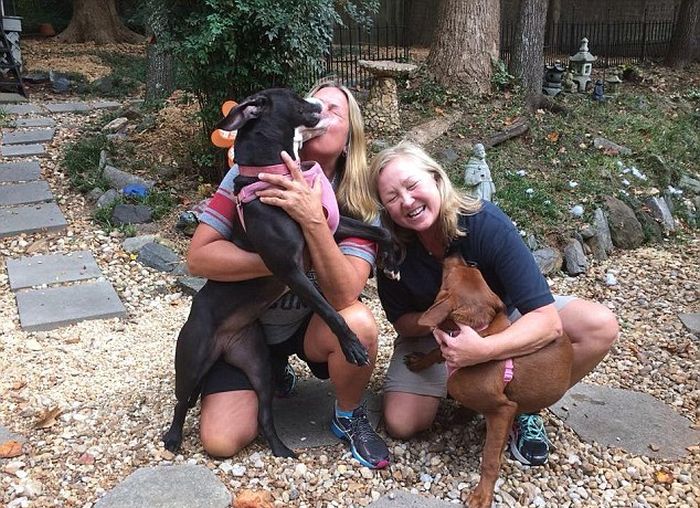 Hugging Dogs Find A New Home Thanks To The Internet (4 pics)