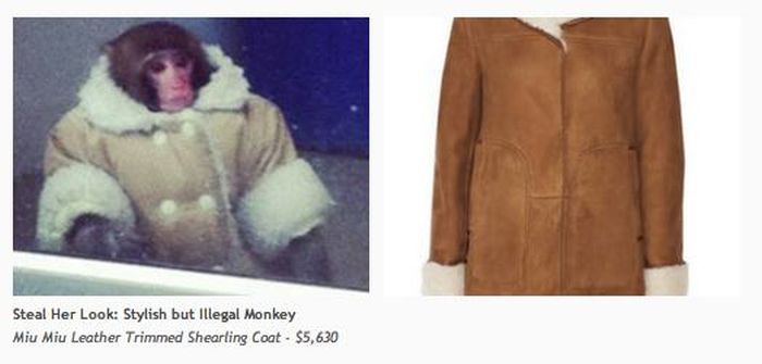 Find The Perfect Halloween Costume With Tumblr's Steal Her Look (31 pics)