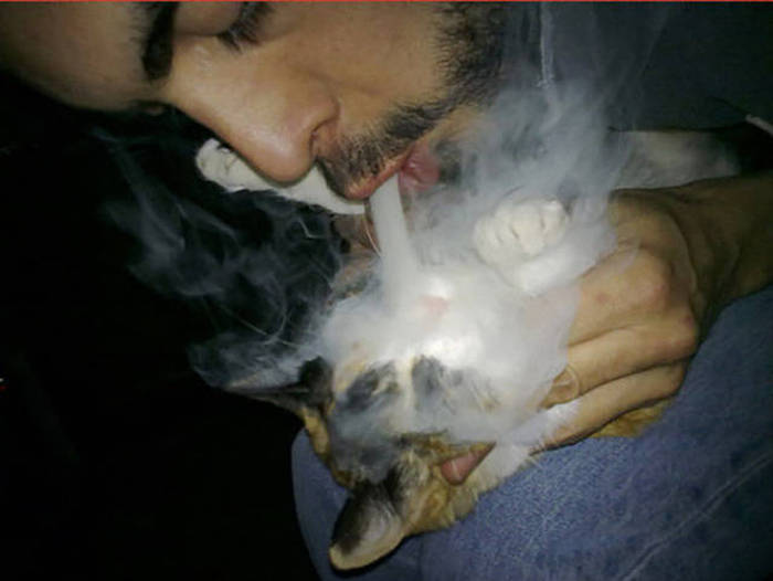 People Who Have No Idea How Terrible They Are (42 pics)