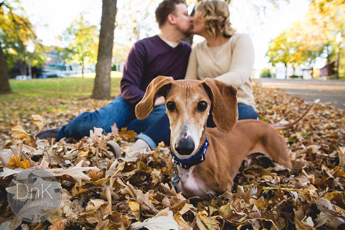 Couple’s Engagement Pictures Get Photobombed By A Wiener Dog (6 pics)