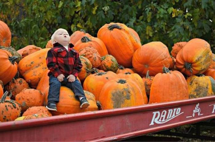 Acid Picdump (102 pics)