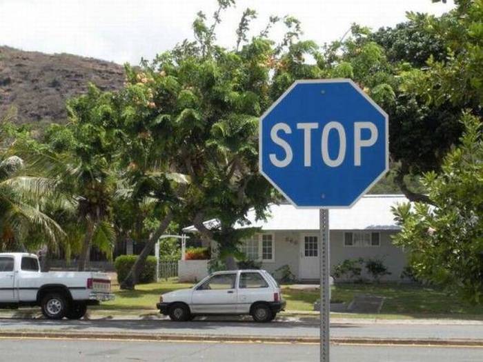 Acid Picdump (102 pics)