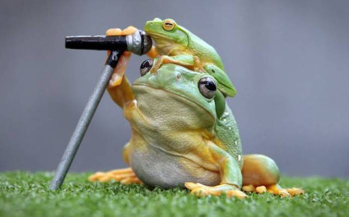 Acid Picdump (102 pics)