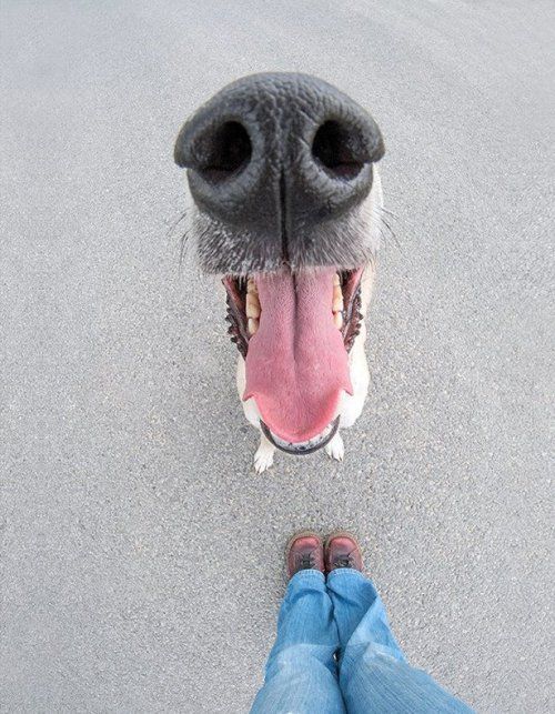 Acid Picdump (102 pics)