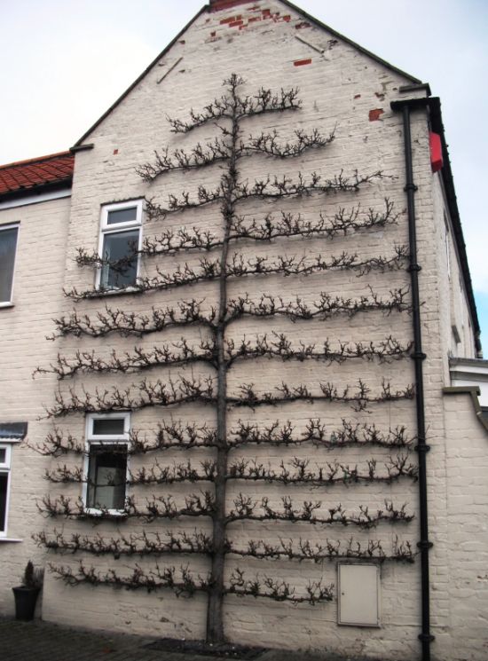 Acid Picdump (102 pics)