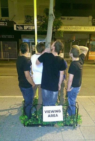 Acid Picdump (102 pics)