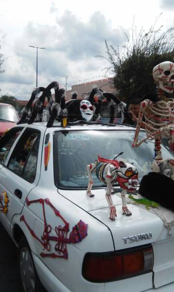 Acid Picdump (102 pics)