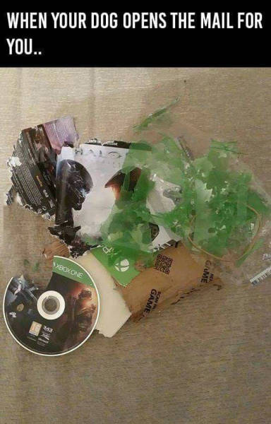 Acid Picdump (102 pics)