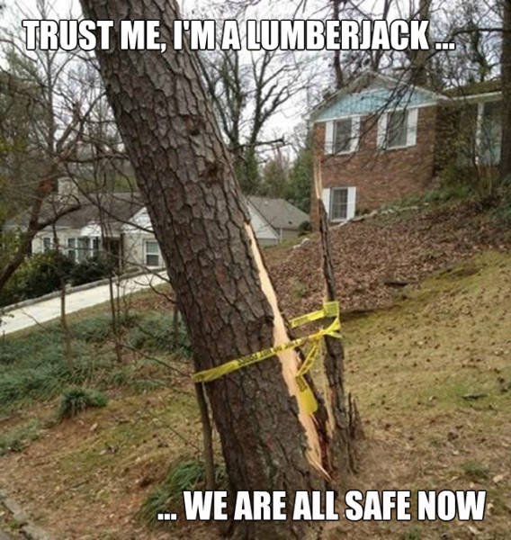 Acid Picdump (102 pics)