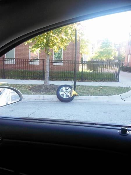 Acid Picdump (102 pics)