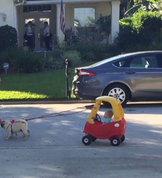 Acid Picdump (102 pics)