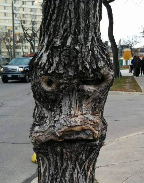 Acid Picdump (102 pics)