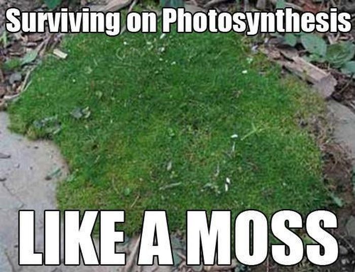 The Best Science Memes The Internet Has To Offer (40 pics)