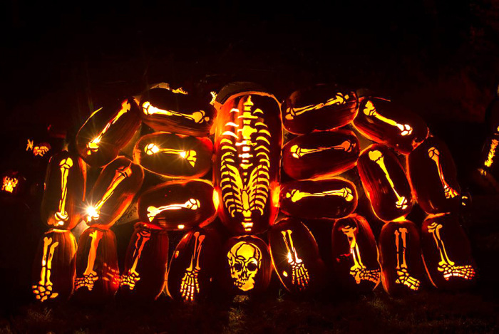 Thousands Of Pumpkins On Display At The Great Jack O' Lantern Blaze In New York (17 pics)