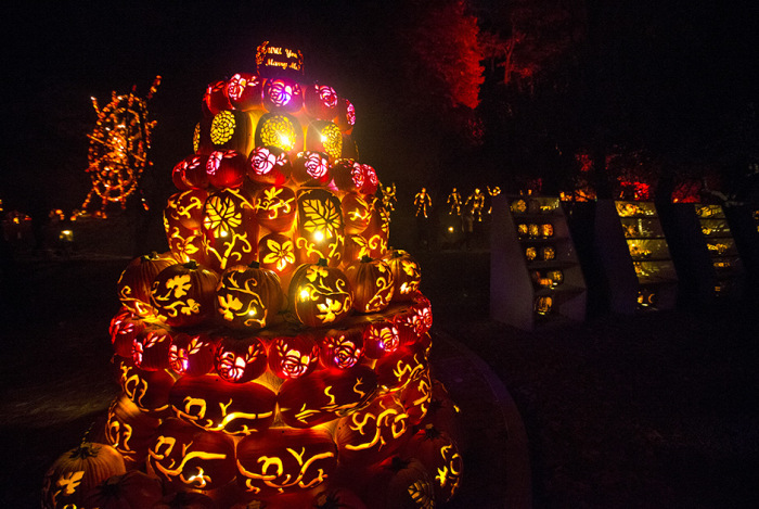 Thousands Of Pumpkins On Display At The Great Jack O' Lantern Blaze In New York (17 pics)
