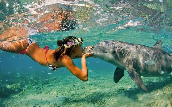 Acid Picdump (106 pics)