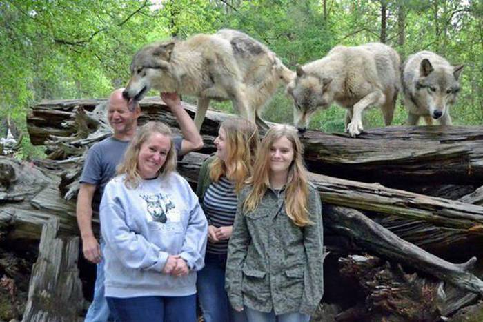 Acid Picdump (106 pics)