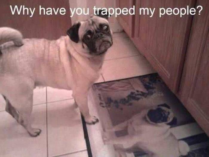 Acid Picdump (106 pics)