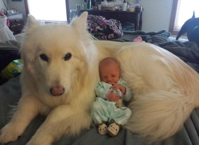 Acid Picdump (106 pics)