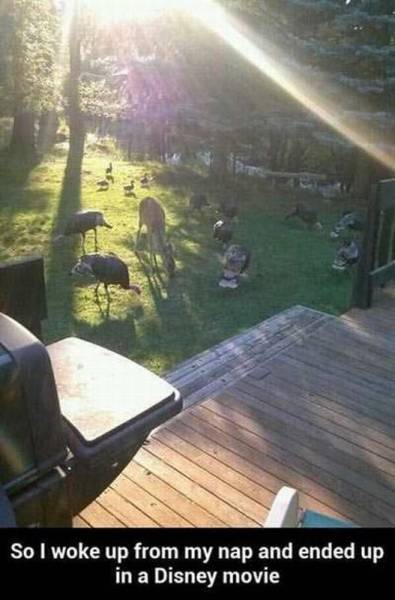 Acid Picdump (106 pics)