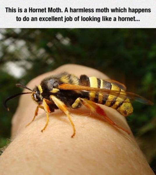 Acid Picdump (106 pics)