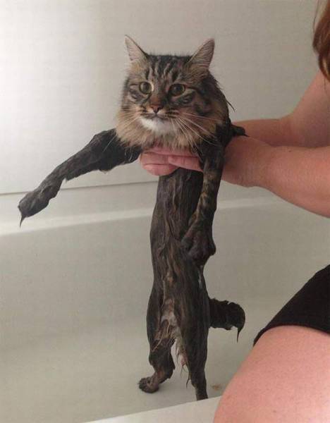 Acid Picdump (106 pics)