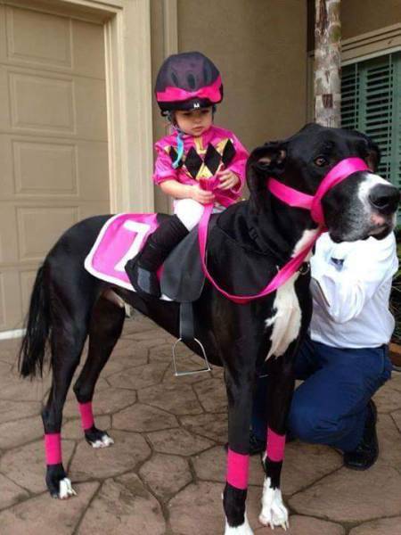 Acid Picdump (106 pics)